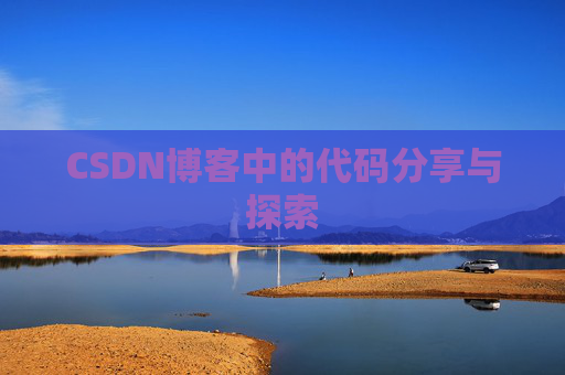 CSDN博客中的代码分享与探索